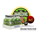 ABSENTA DIABLO VERDE PACK 12 UNIDADES