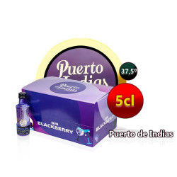 GIN PUERTO DE INDIAS BLACKBERRY PACK 24 UNIDADES